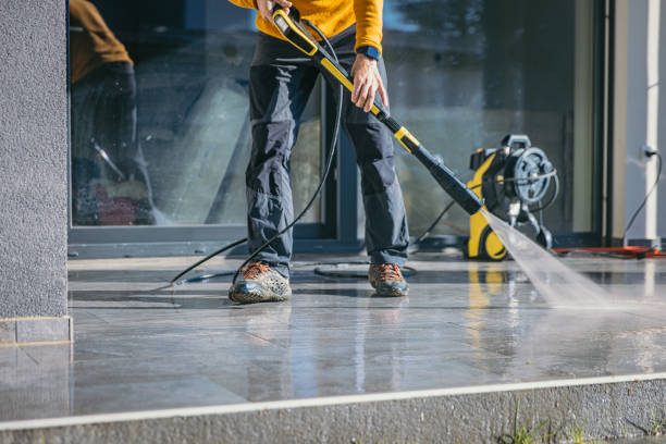 Animal Enclosure Cleaning in Rosemont, IL